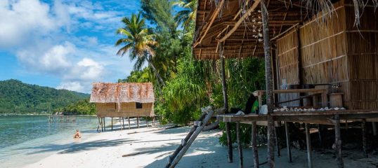 Learn Pidgin Papua New Guinea Online - Level 1