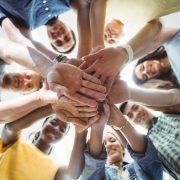 Sales Tool Kit (Bundle)